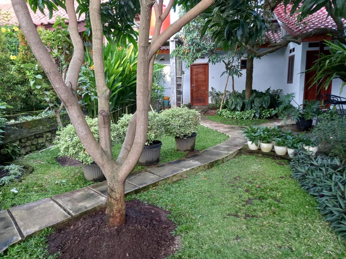 Juda Homestay 바뉴왕기 외부 사진