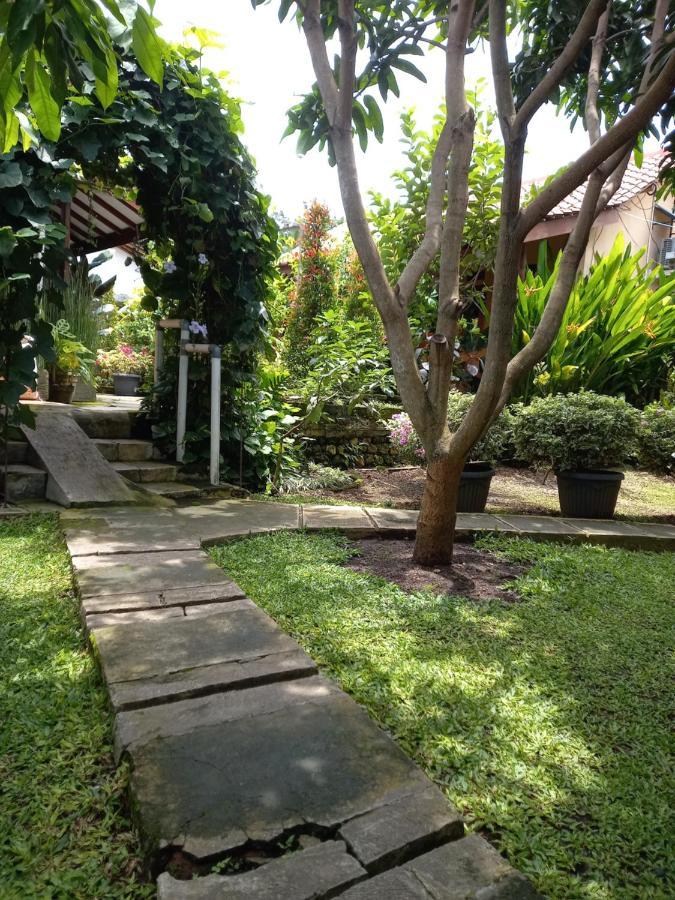 Juda Homestay 바뉴왕기 외부 사진