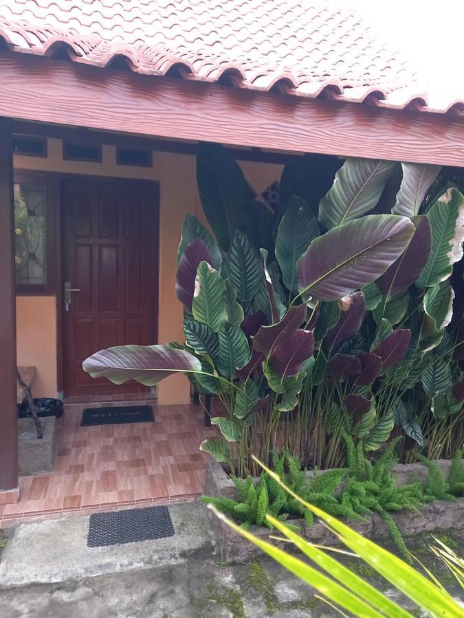 Juda Homestay 바뉴왕기 외부 사진