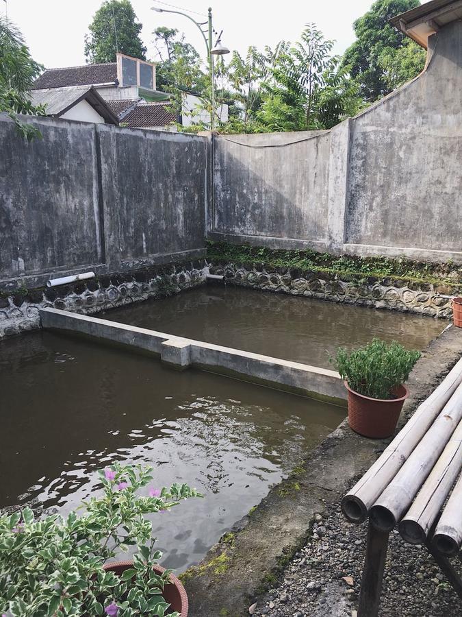 Juda Homestay 바뉴왕기 외부 사진